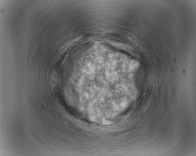 X0000067510043200604281619