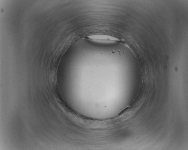 X0000067510044200604281619