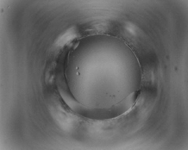 X0000067510045200604281619