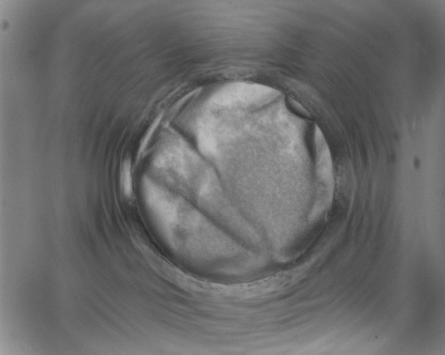 X0000067510046200604281619