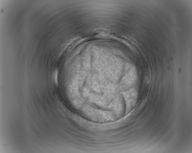 X0000067510047200604281619