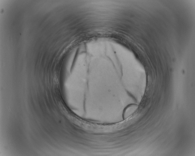 X0000067510048200604281619