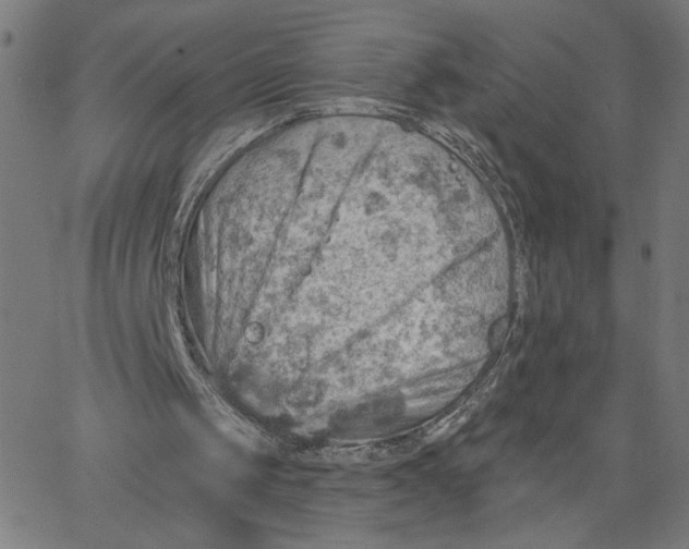 X0000067510049200604281619