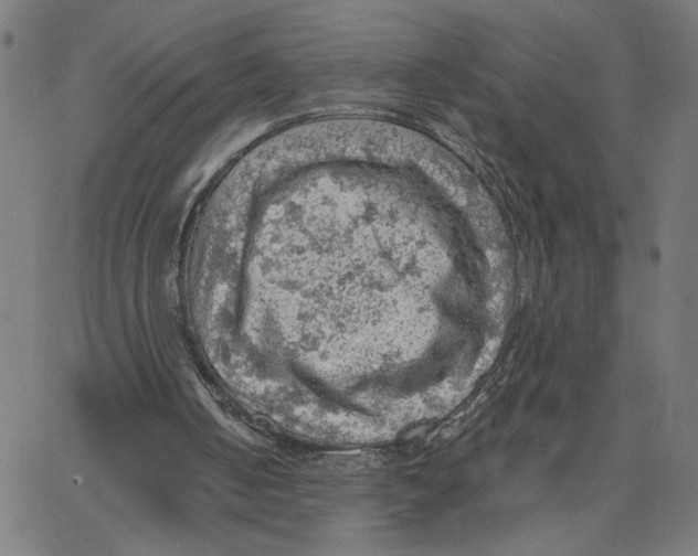 X0000067510050200604281619