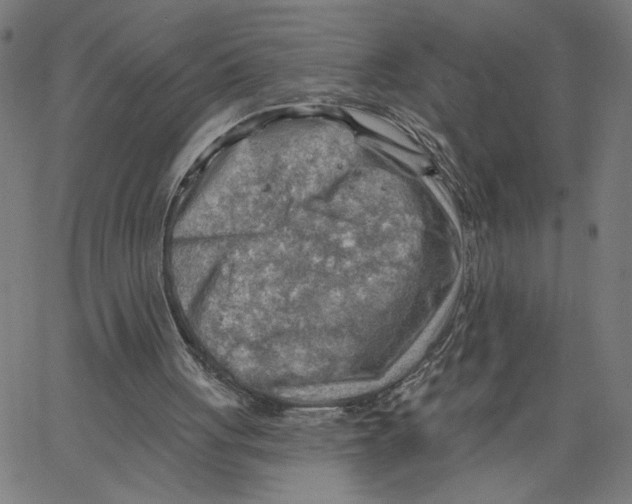 X0000067510051200604281619