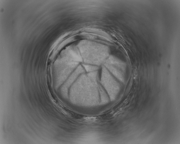 X0000067510052200604281619