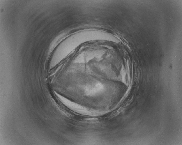 X0000067510053200604281619