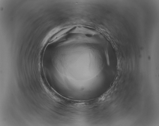 X0000067510054200604281619