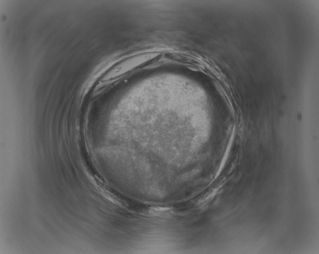 X0000067510055200604281619