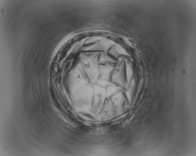 X0000067510056200604281619