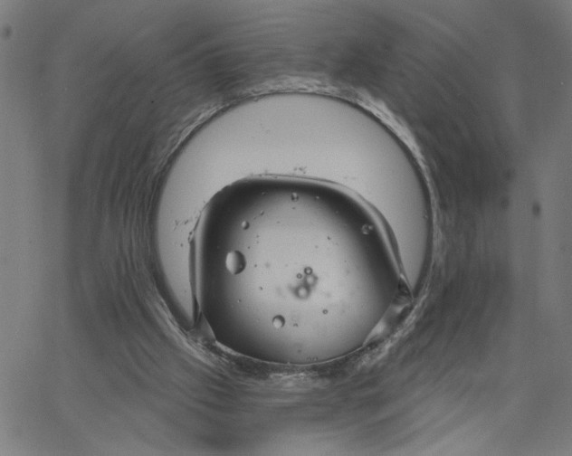 X0000067510057200604281619