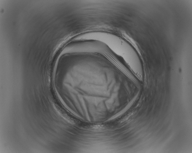 X0000067510059200604281619