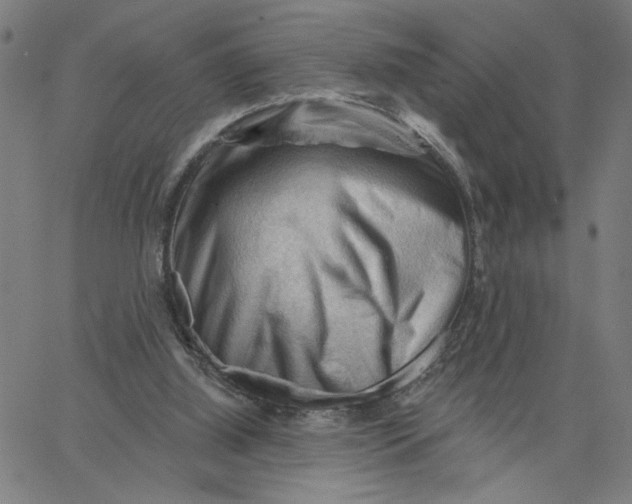 X0000067510060200604281619