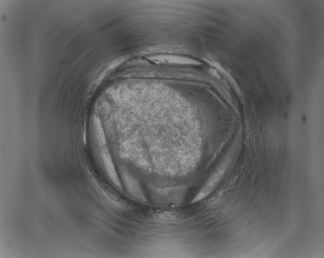 X0000067510062200604281619