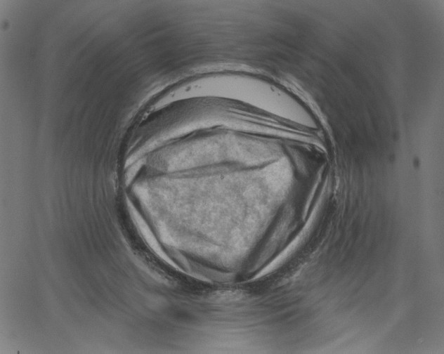 X0000067510063200604281619