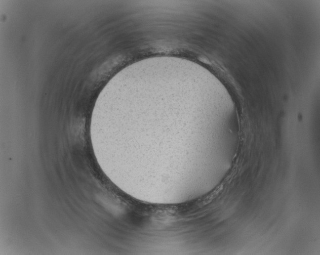 X0000067510066200604281619