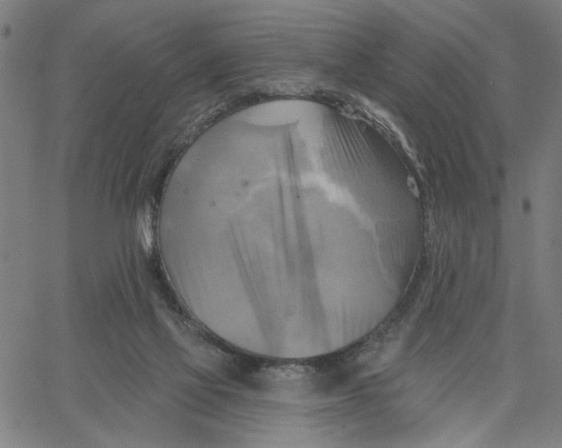 X0000067510069200604281619