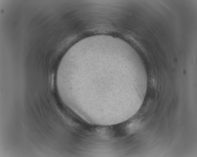 X0000067510070200604281619