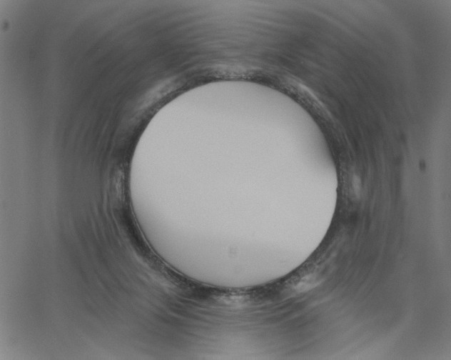 X0000067510071200604281619