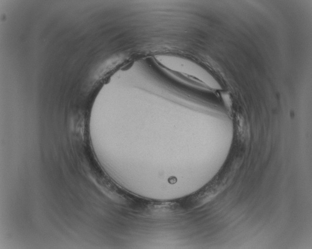 X0000067510072200604281619