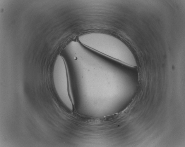 X0000067510074200604281619