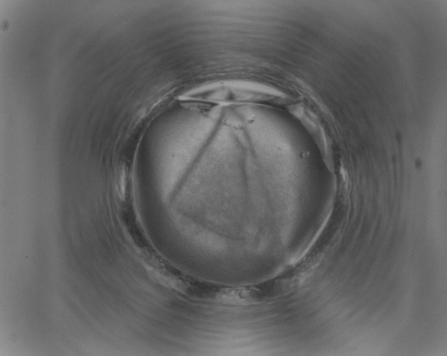 X0000067510076200604281619