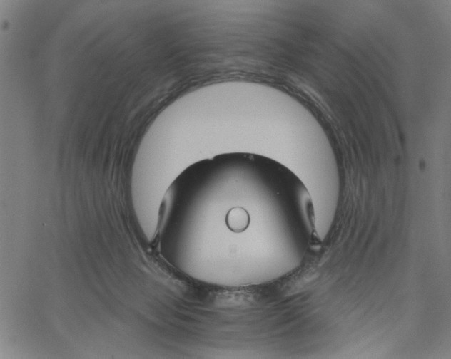 X0000067510077200604281619