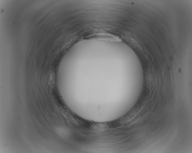 X0000067510079200604281619