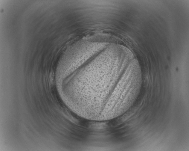 X0000067510081200604281619