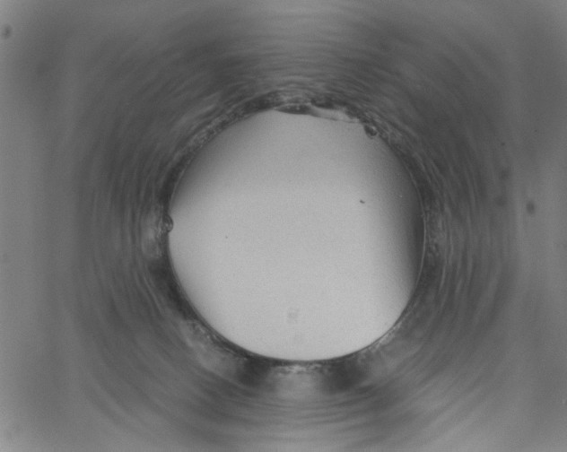 X0000067510082200604281619