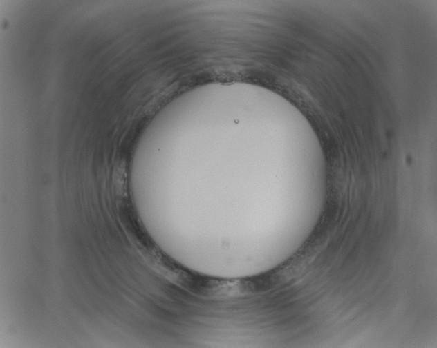 X0000067510083200604281619