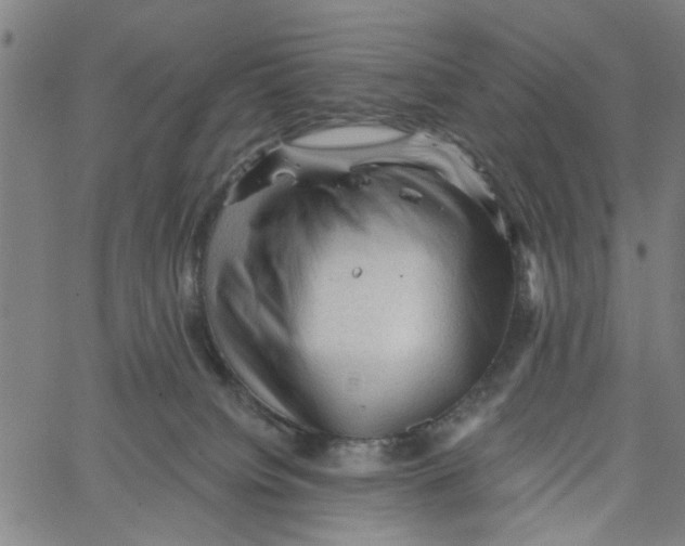 X0000067510084200604281619