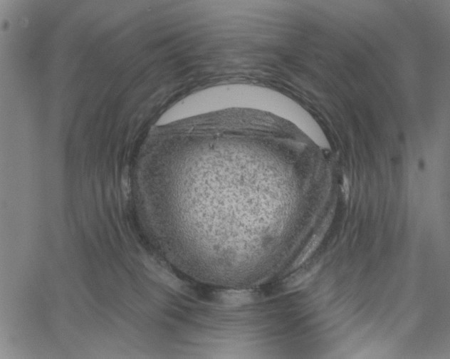 X0000067510085200604281619