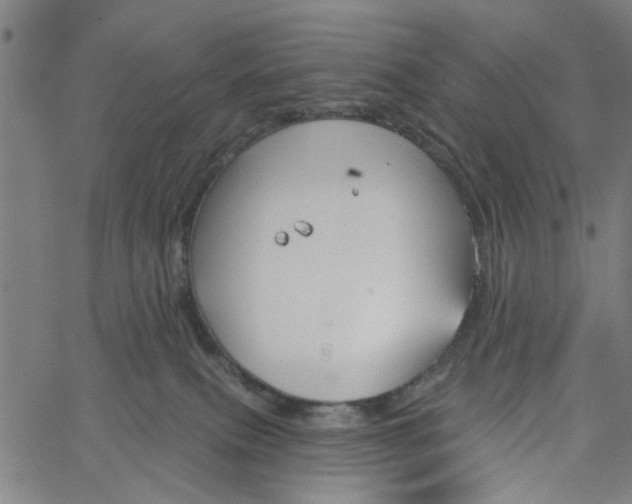 X0000067510087200604281619