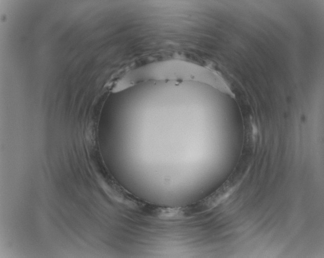 X0000067510088200604281619