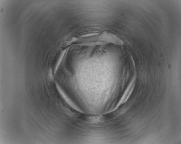 X0000067510089200604281619