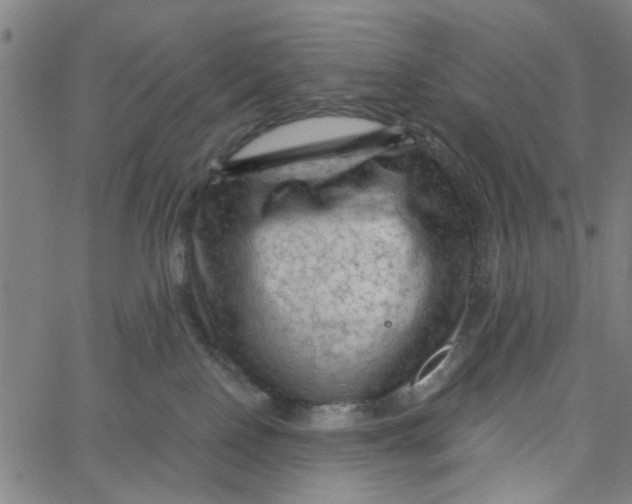 X0000067510090200604281619