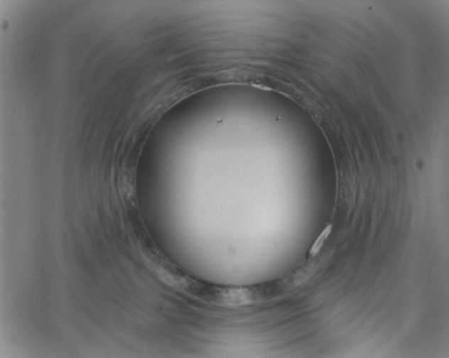 X0000067510091200604281619