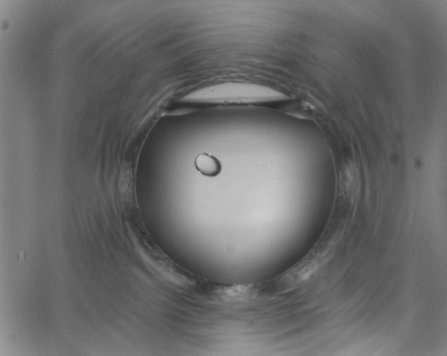 X0000067510092200604281619