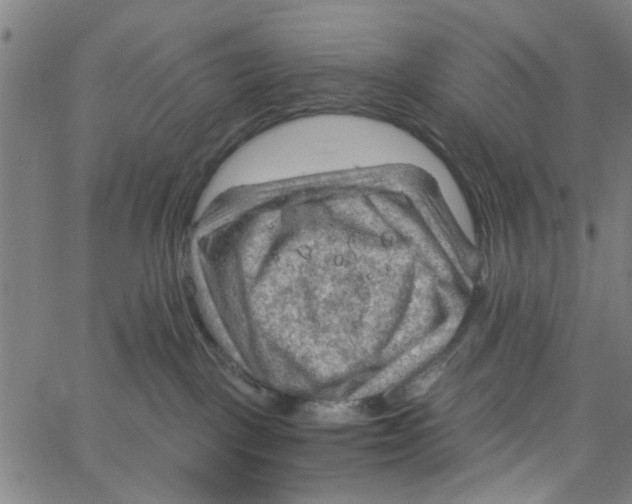 X0000067510093200604281619