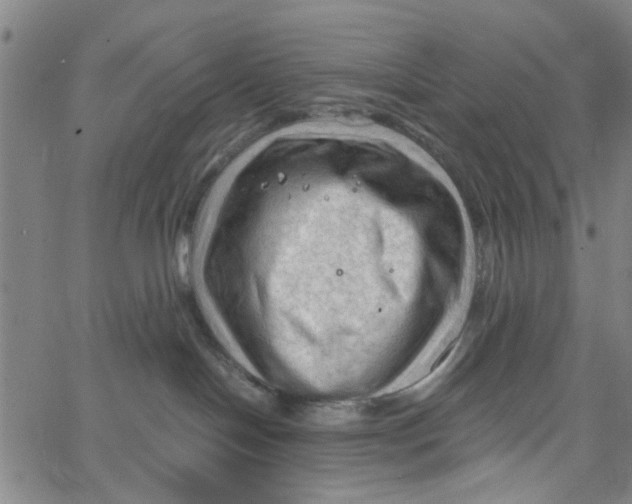 X0000067510094200604281619