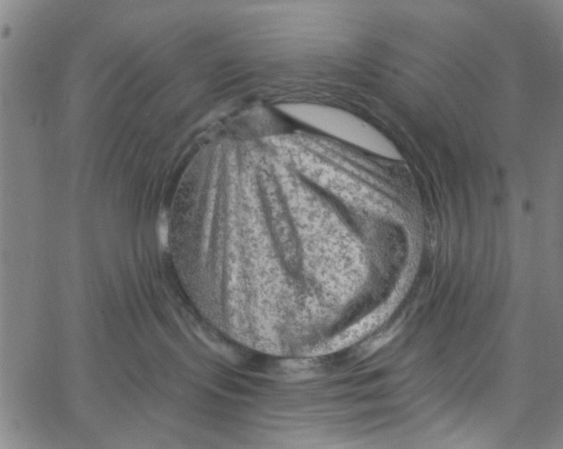 X0000067510095200604281619