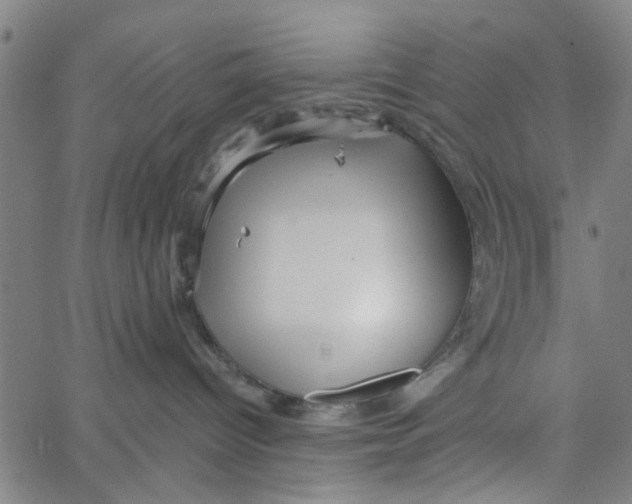 X0000067510096200604281619