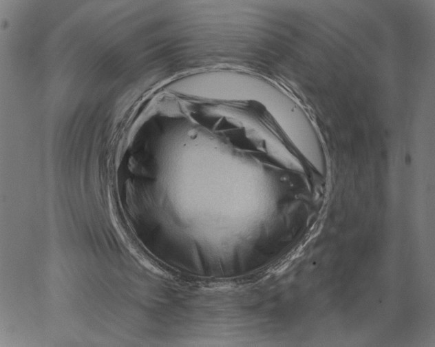 X0000067510097200604281619