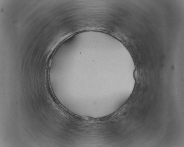 X0000067510098200604281619