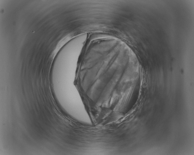 X0000067510099200604281619