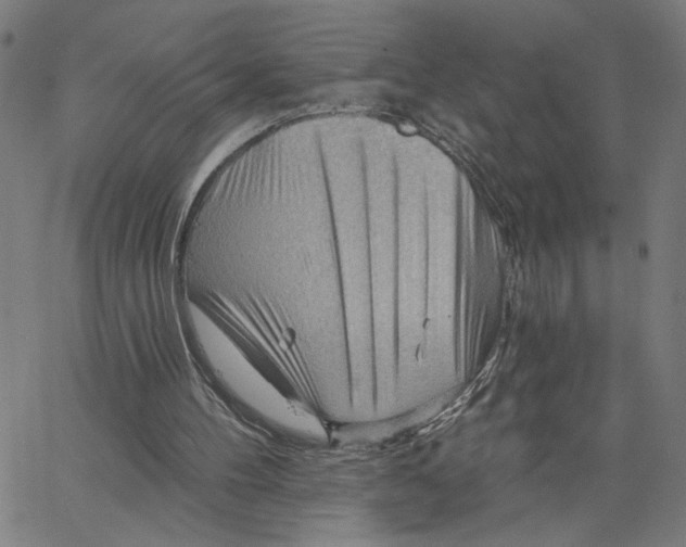 X0000067510100200604281619