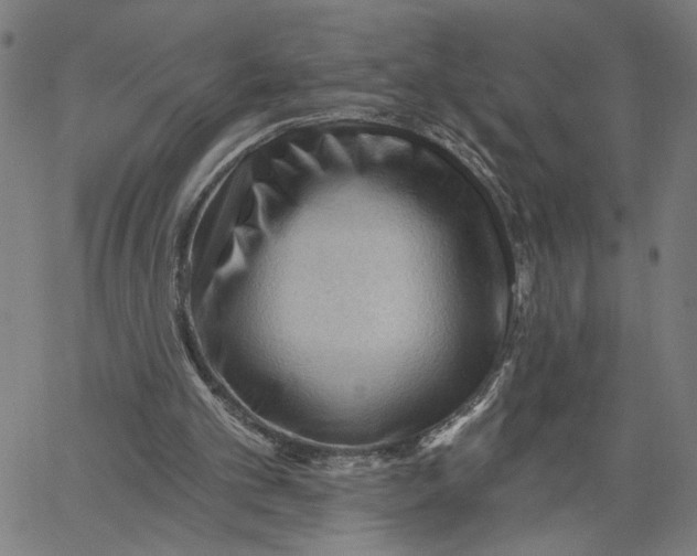 X0000067510101200604281619