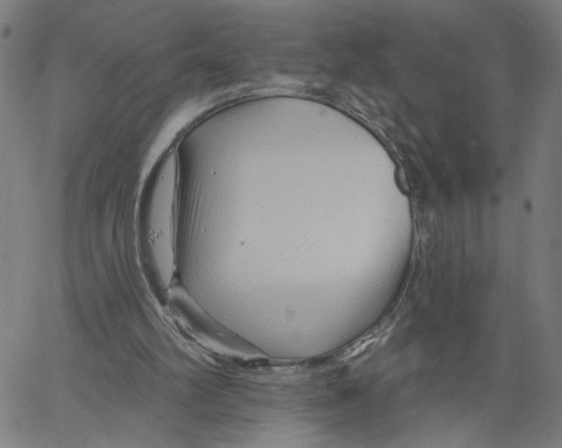 X0000067510102200604281618