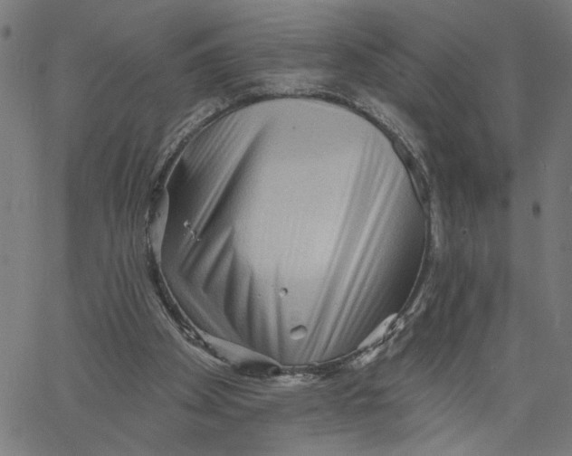 X0000067510105200604281618